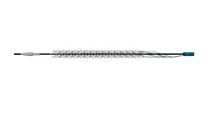 First patient enrolled in study of Reflow Medical’s Spur system