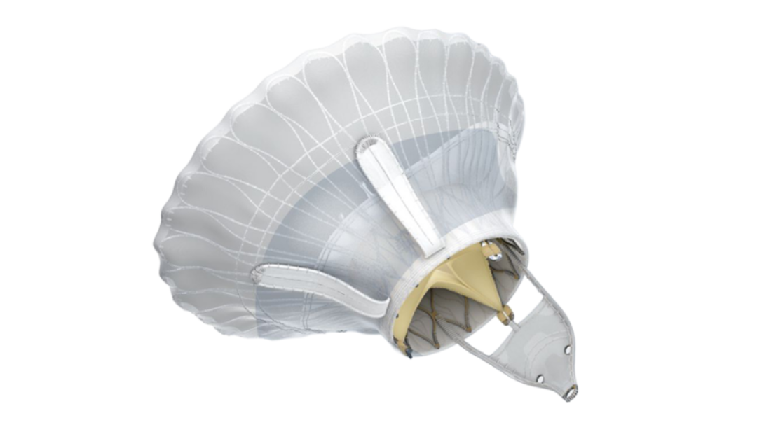 Jenscare receives CE mark for LuX-Valve Plus tricuspid valve replacement system