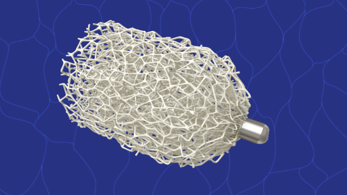 Shape Memory Medical raises $10M to advance aortic clinical trials