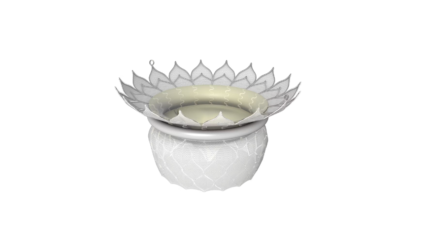 HighLife Mitral Valve System
